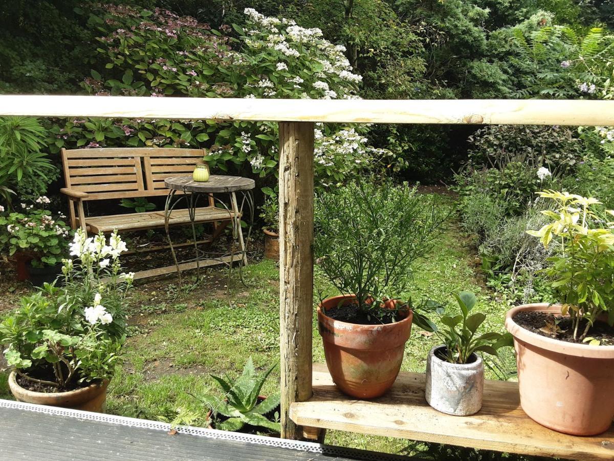 펜젠스 Tranquil Wood Cabin Set In A Beautiful Orchard 빌라 외부 사진